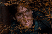 a close up of a man 's face behind branches
