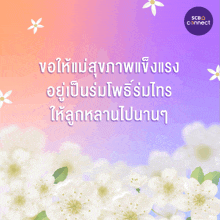 a purple background with white flowers and the words scbo connect