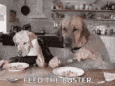 Lunch Time GIF - Lunch Time Hungry GIFs