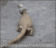 running running away from life run