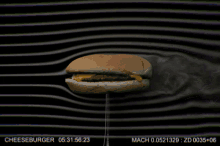 Cheeseburger Aerodynamics GIF - Cheeseburger Aerodynamics GIFs
