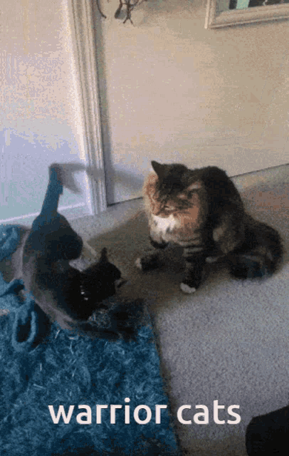 Cat Fight, DUB