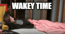 Wakeytime Wakeywakey GIF - Wakeytime Wakeywakey Sleepytime GIFs