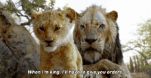 The Lion King Simba GIF - The Lion King Simba When Im King GIFs