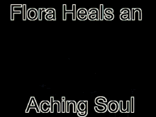 Dromarch Flora Heals An Aching Soul GIF - Dromarch Flora Heals An Aching Soul Xenoblade GIFs