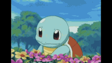 crypto squirtle