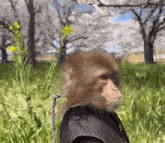 a monkey wearing a jacket and tie is standing in a field of grass .