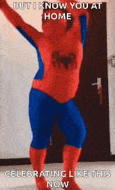 Spiderman Superhero GIF