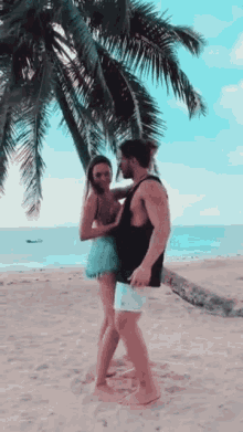 a man and a woman are standing on the beach under a palm tree .