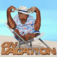 On Vacation Meme Funny Monkey Meme GIF - On Vacation Meme Funny Monkey Meme Atrabilis GIFs