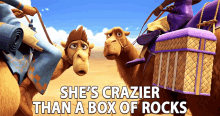 Shes Crazier Than A Box Of Rocks Shes Nuts GIF