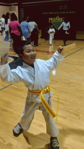 karate kid gif
