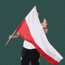 Flaga Polska GIF - Flaga Polska Polish GIFs