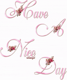Have A Nice Day Pink GIF - Have A Nice Day Pink Text GIFs