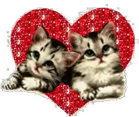 two kittens are laying in front of a red heart with glitter