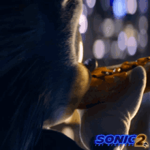 eating sonic sonic the hedgehog2 munching grab a bite