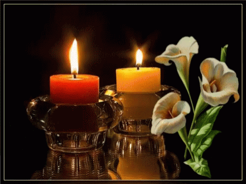 Lights Flowers GIF - Lights Flowers Candles - Discover & Share GIFs