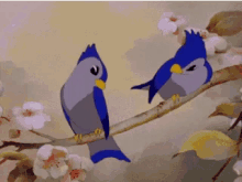 Bird Love GIF - Bird Love Cuddle GIFs