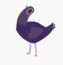 Trash Dove Bird GIF