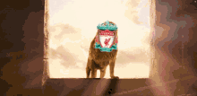 Liverpool Power GIF - Liverpool Power Lion GIFs