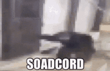 Soadcord Monkey GIF - Soadcord Monkey Soad GIFs