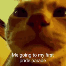 Pride GIF - Pride GIFs