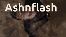 Ashnflash Just2good GIF
