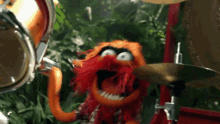 Muppets Electric Mayhem GIF - Muppets Electric Mayhem Animal GIFs