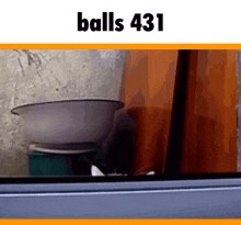 a picture of a bowl with the words " balls 431 " above it