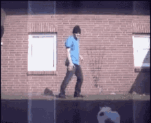 Breakdance Cat GIF - Breakdance Cat GIFs