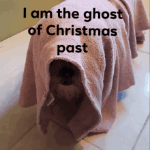 Christmas Ghost Puppy GIF