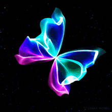 Flying Butterfly GIF - Flying Butterfly Neon GIFs