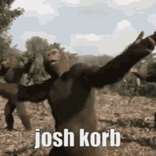 Josh Korb GIF - Josh Korb GIFs