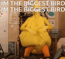 Biggest Bird GIF