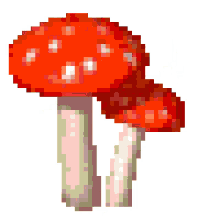 mushroom head