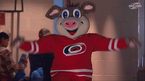 Stormy the Pig - Maskottchen der Carolina Hurricanes - Y Eishockey