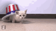 Such An Adorable Patriot GIF - Cat Hat Kitten GIFs
