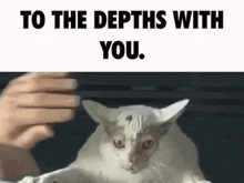 To The Depths With You GIF - To The Depths With You GIFs