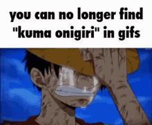 Kuma Onigiri GIF - Kuma Onigiri One Piece GIFs