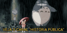 Totoro História Pública GIF - Totoro História Pública GIFs