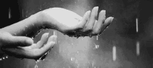 Raining Hands GIF - Raining Hands Wet GIFs