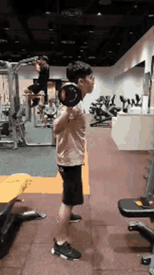 Squat Exercise GIF - Squat Exercise Gym GIFs