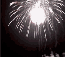 a fireworks display in the night sky with a white firework in the middle