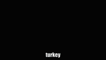 turkey spin