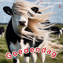 Goedendag Holland GIF - Goedendag Holland Nederlandse GIFs