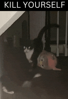 Cat Kill GIF