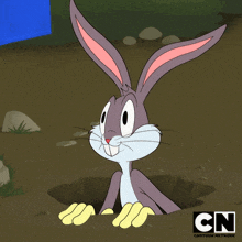 Ahora Que Bugs Bunny GIF - Ahora Que Bugs Bunny Looney Tunes GIFs