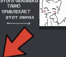 a red arrow pointing to a picture of a cat