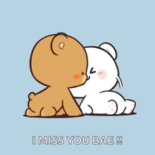 a cartoon of two teddy bears kissing with the words i miss you bae written on the bottom