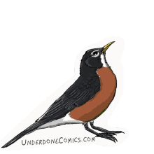 cheer up sticker robin gif bird